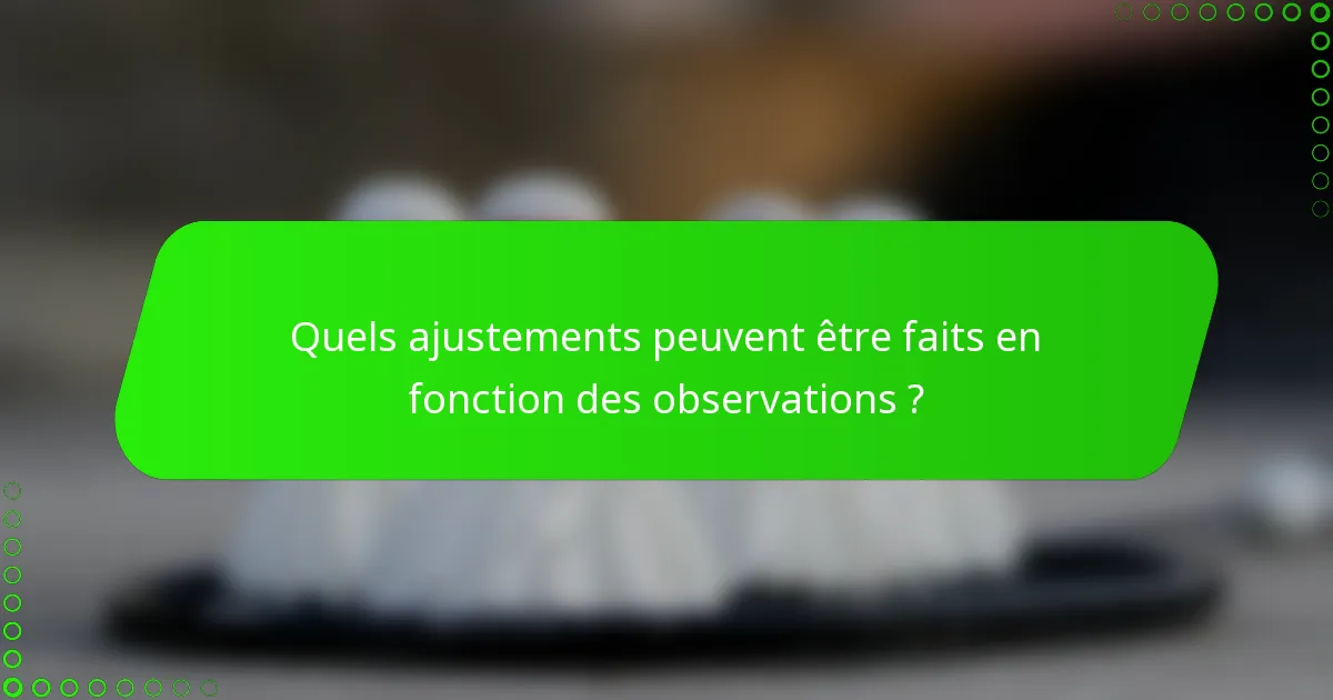 Quels ajustements peuvent être faits en fonction des observations ?